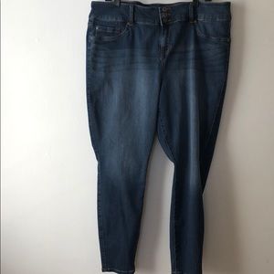 Torrid Blue Jean Jeggings